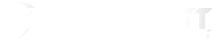 Custom Logo